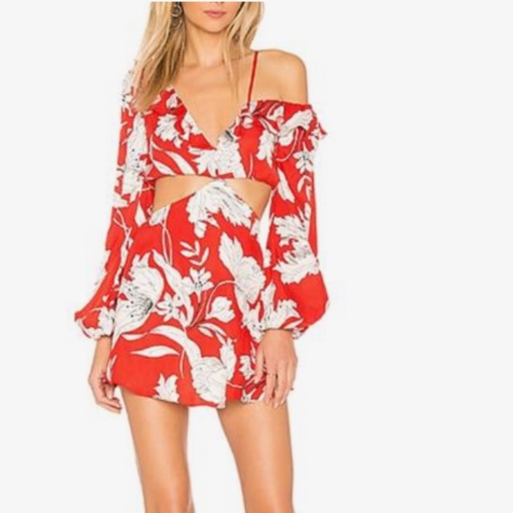 Lovers + Friends Red Love Bliss Cutout Dress